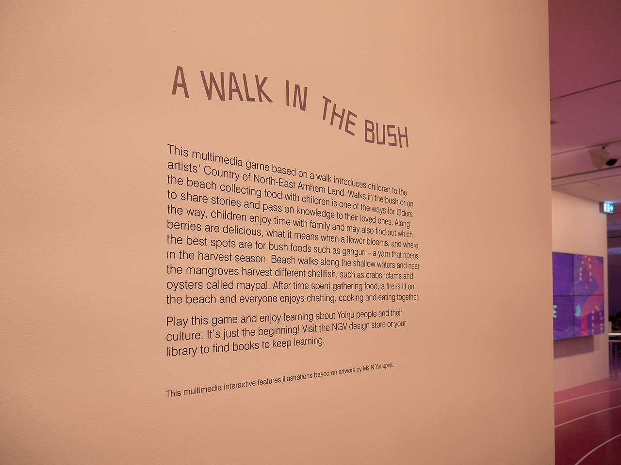 Exhibition statement for A Walk in the Bush.
