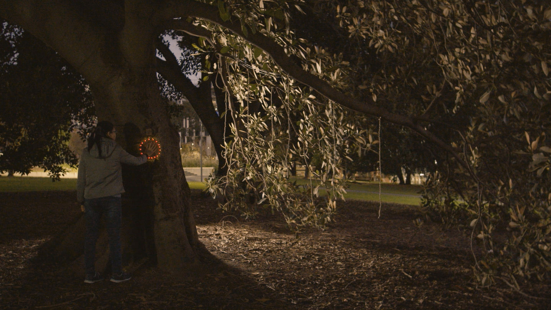 Player touching the tree trunk sensor and it lights up.