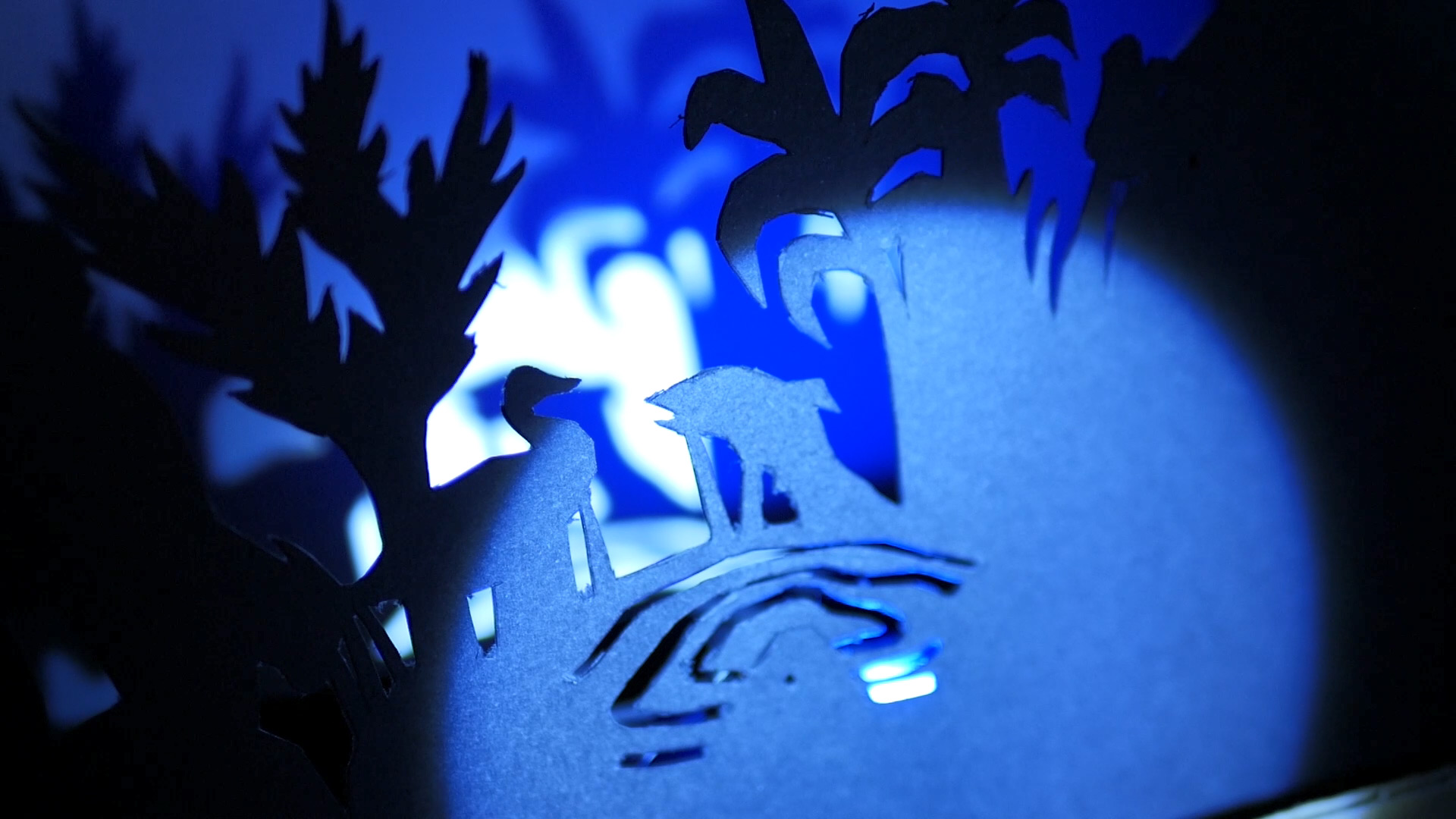 Torchlight shining on the fish in the diorama.