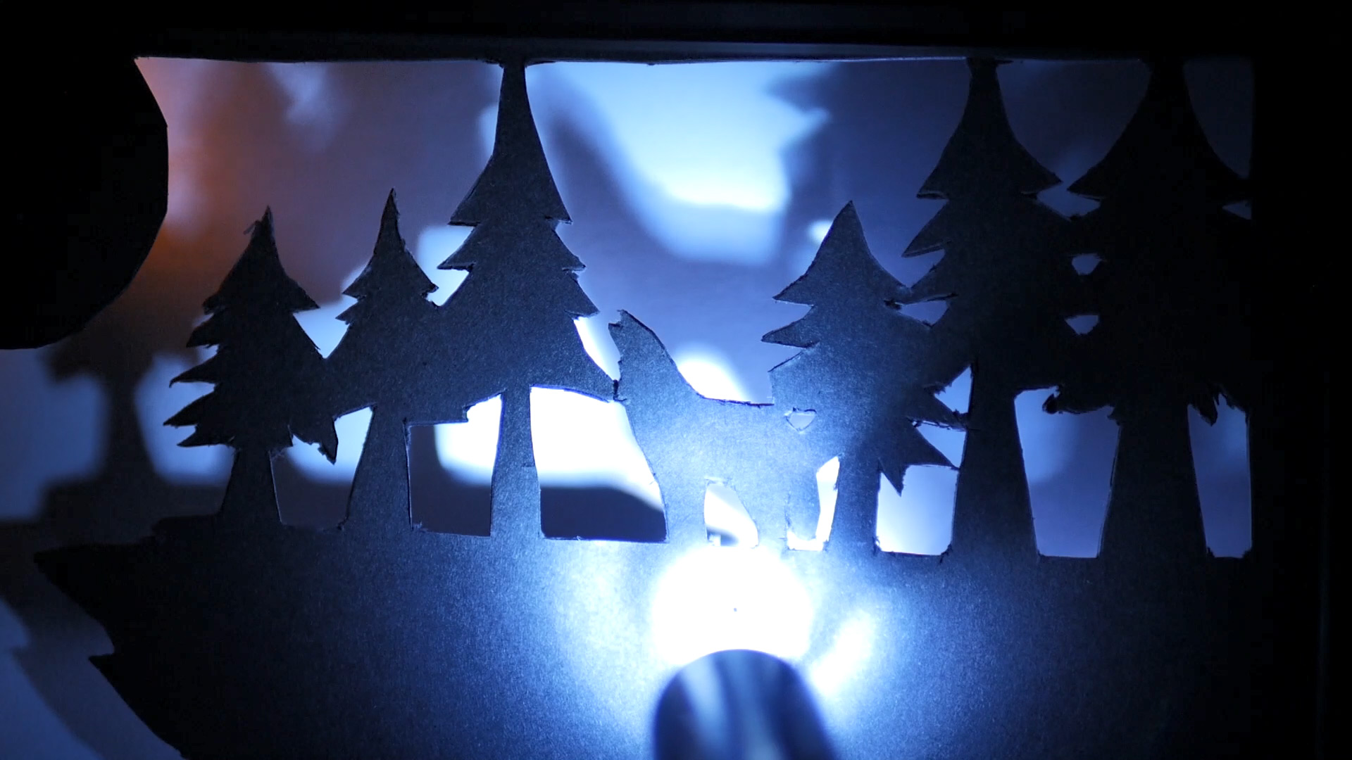 Torch shining on the wolf in the diorama.