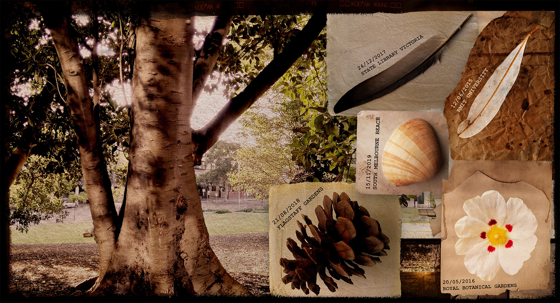 Front of the postcard for Postcard Memento.